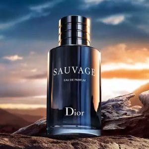 Dior Sauvage Preisvergleich